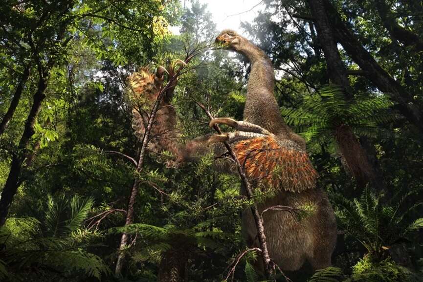 A University of Calgary paleontologist
