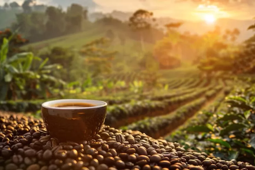 delicious-organic-coffee-still-life