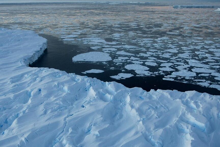 antarctic