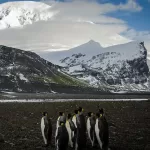 heard_island_matthew_curnock