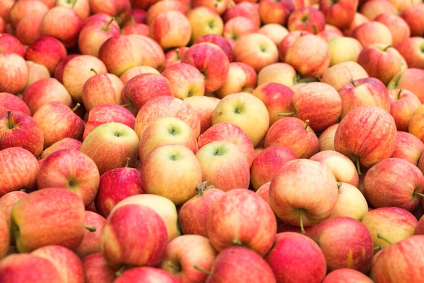 APPLES