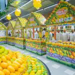 Indian Mango Mania 2025