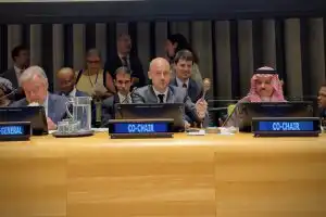 Saudi-France at UN