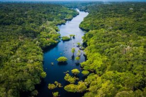 Brazil Presses Nations for Stronger Climate Pledges Ahead of COP30