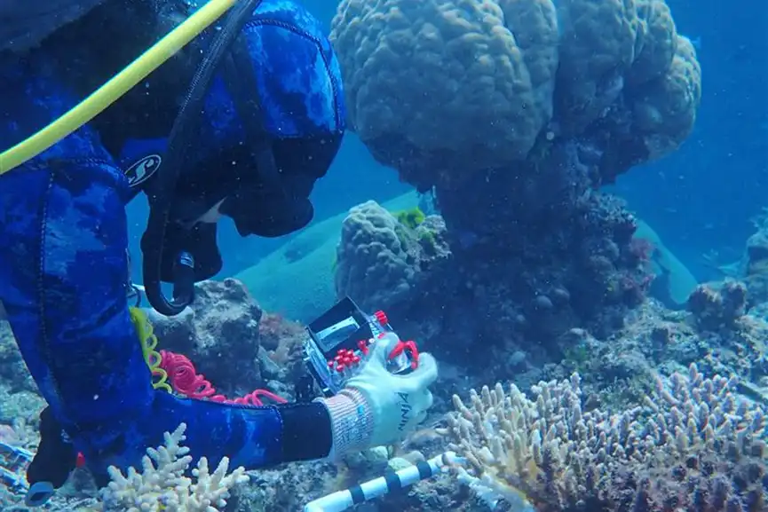 GREAT BARRIER REEF DECLINE