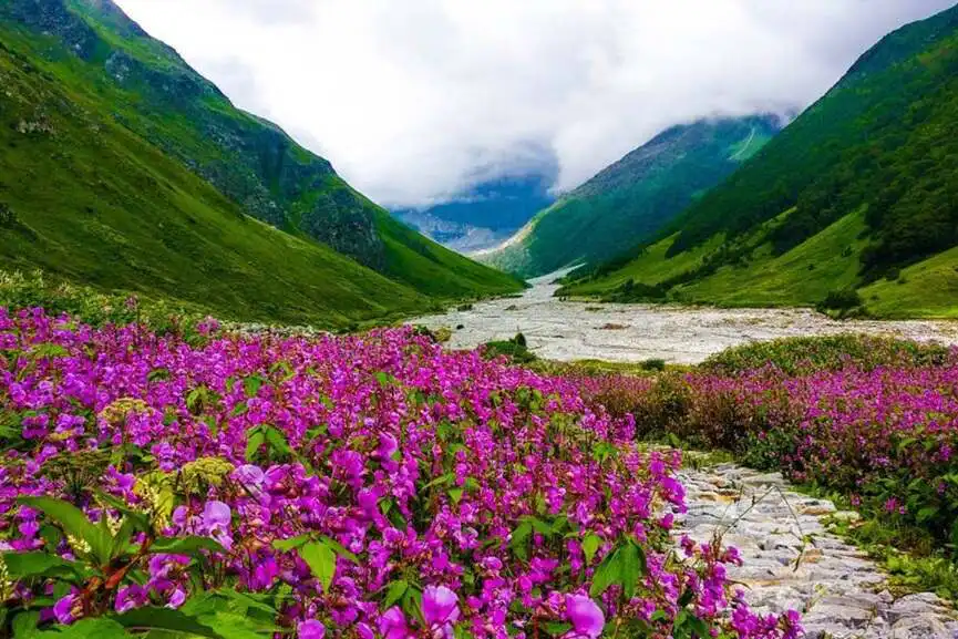 Hampta Pass Himachal Pradesh