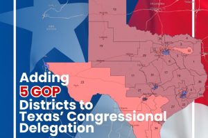 US CONGRESSIONAL MAP