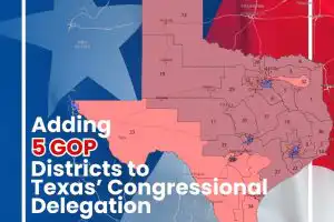 US CONGRESSIONAL MAP