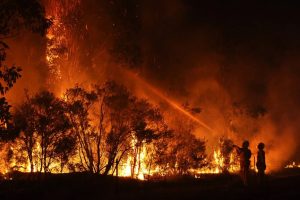 fire-fighters-at-forest-fire