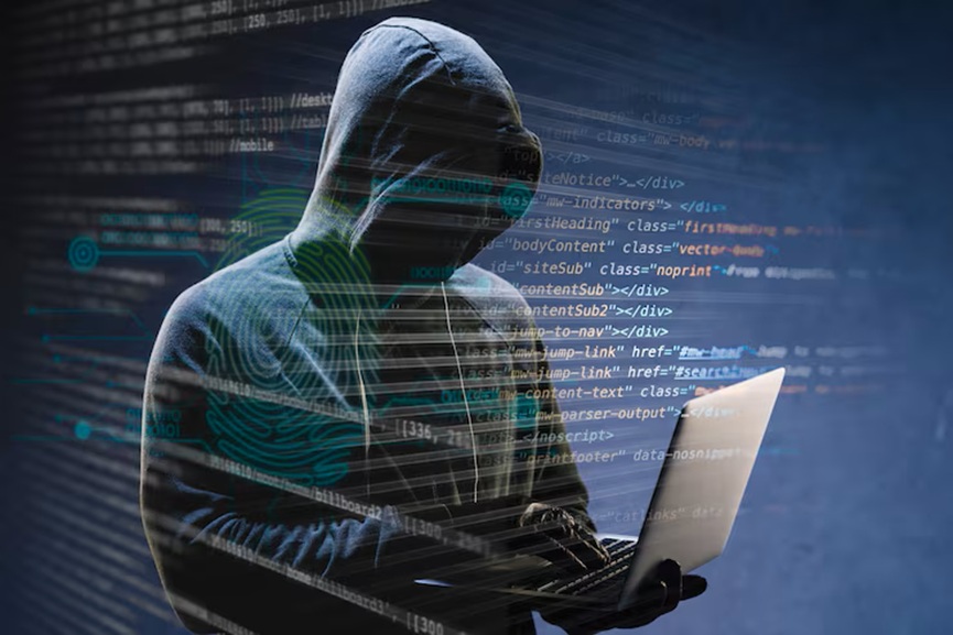Botnet-Cyber-Warfare