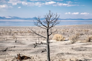 nikolay-maslov-WR6zvJgiJ7E-unsplash