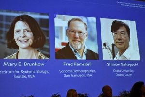 Immune System Pioneers Awarded 2025 Nobel Prize in Medicine