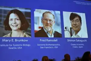 A screen showing the photos of Mary E Brunkow, Fred Ramsdell and Shimon Sakaguchi who were awarded the Nobel Prize in Medicine or Physiology