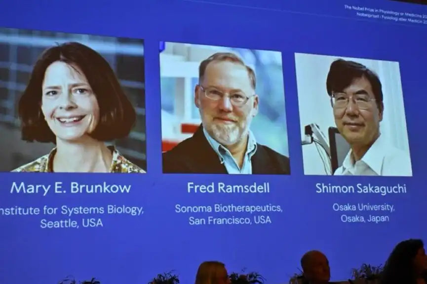 A screen showing the photos of Mary E Brunkow, Fred Ramsdell and Shimon Sakaguchi who were awarded the Nobel Prize in Medicine or Physiology