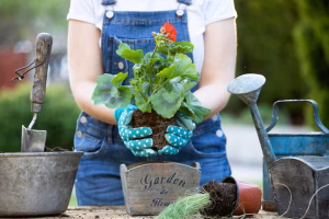 midsection-man-holding-flower-pot