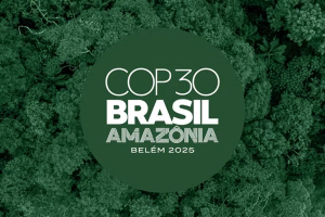 cop30-lacks-fossil-fuel-roadmap