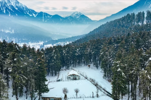 kashmir-winter-festival-dal-lake-boost-tourism-image-X
