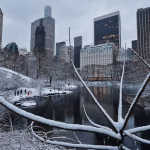 new-york-hit-by-heavy-snow-winter-storm-image-via-X