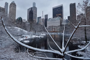 new-york-hit-by-heavy-snow-winter-storm-image-via-X