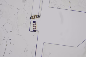 A single motor robot travels through an SU8 channel under microscope illumination