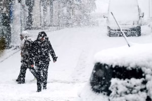 snowfall, winter, street, cars