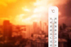 close-up-information-sign