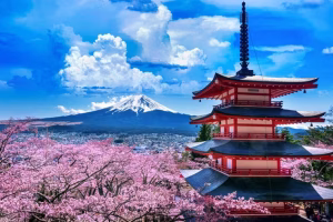 Mount Fuji Town Cancels Cherry Blossom Festival Over Tourist Chaos