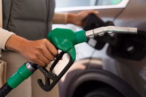 India Cuts Export Duties on Petrol-IAN