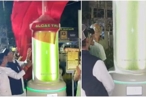Bhopal Unveils India’s First ‘Algae Tree’ to Fight Urban Pollution