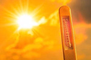 New climate outlook flags rising risk of extreme global heat