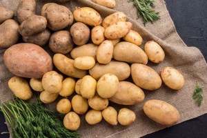 Europe’s Potato Harvest Hit by Extreme Heat and Drought