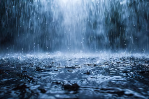 Heavy Rain Batters Keralam, Nine Dead in Floods and Landslides