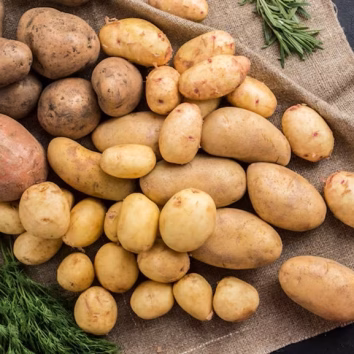 Europe faces potato supply squeeze- IAN