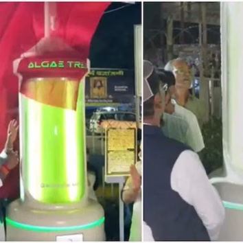 India’s First ‘Algae Tree-IAN
