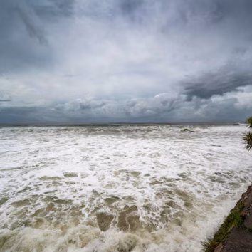 Typhoon Dolphin hit Japan-IAN