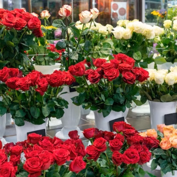 assortment-elegant-red-flowers