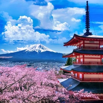 fuji-town-cancels-cherry-blossom-festival-depositphotos