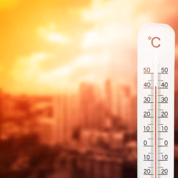 close-up-information-sign